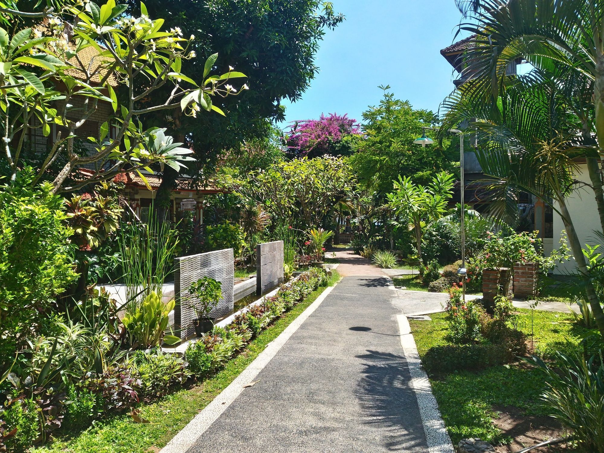 Lovina Beach Hotel Pabean Buleleng Extérieur photo